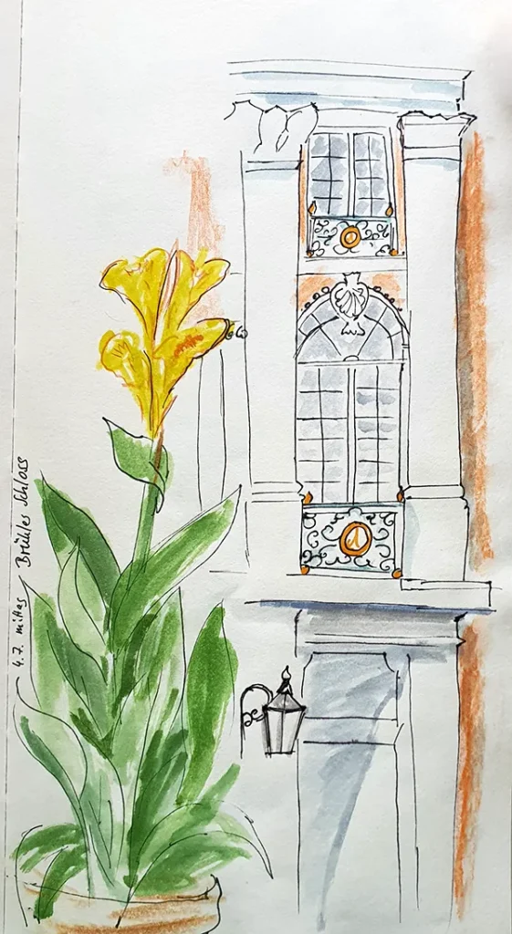 UrbanSketch: Teil der Fassade des Schloss Brühl und einer namenlose Pflanze mit gelben Blüten (Zeugnis meiner mangelnden botanischen Kenntnisse)