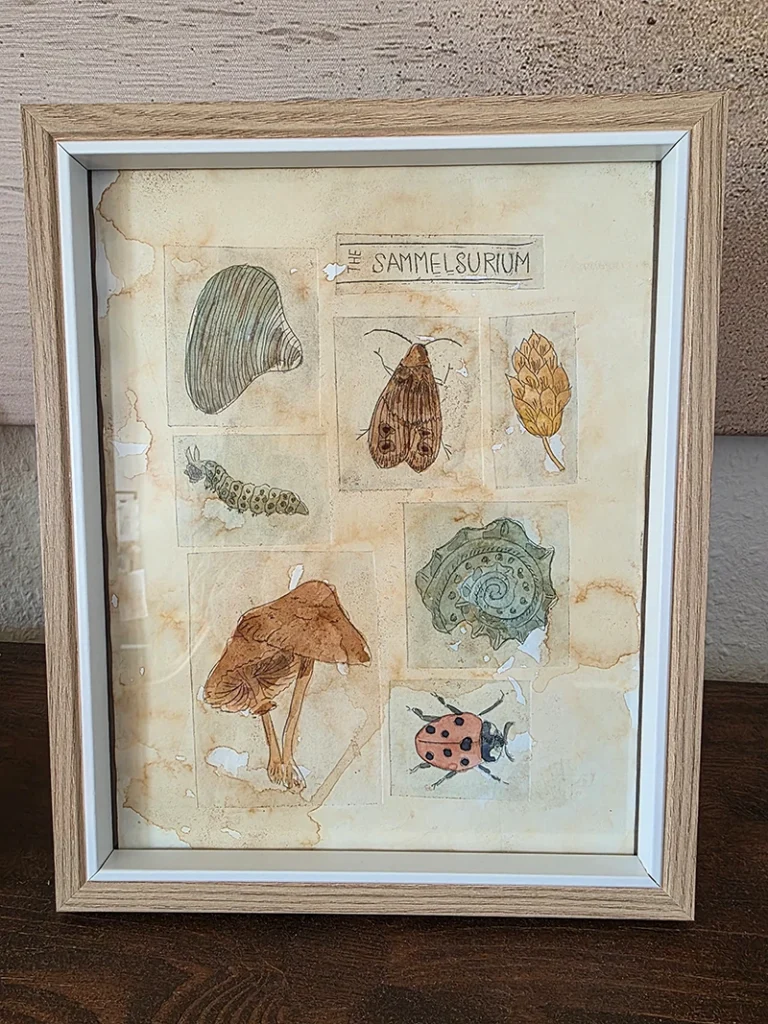 Eine gerahmte Collage mehrerer kleiner TetraPak-Drucke mit Naturmotiven wie Pilzen, einem Marienkäfer, einer Raupe und Muscheln, überschrieben mit "The Sammelsurium". Die Motive sind zart mit bunten Aquarellfarben koloriert.